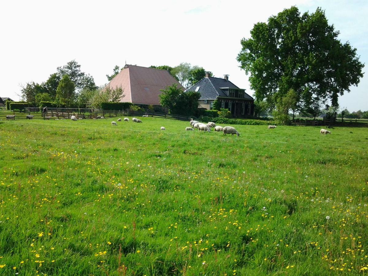 De Wylgepleats Bed and Breakfast Jutrijp Eksteriør billede